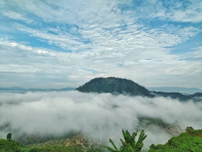 Esensi Embun yang Mengalir Mundur di Gunung Terlarang: Kisah Misteri, Khasiat, dan Upaya Pelestarian